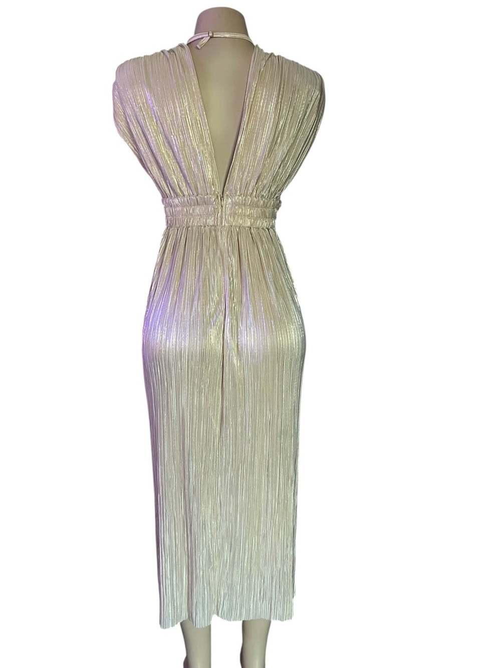 Sabina Musayev Pleated V-Neck Maxi Dress in Blush Cream - Picture 3 of 5